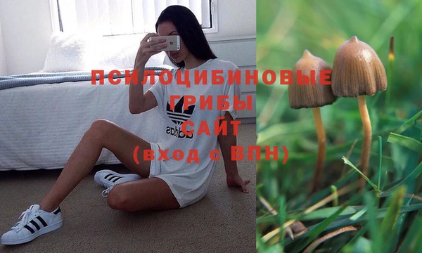 бутират Болохово